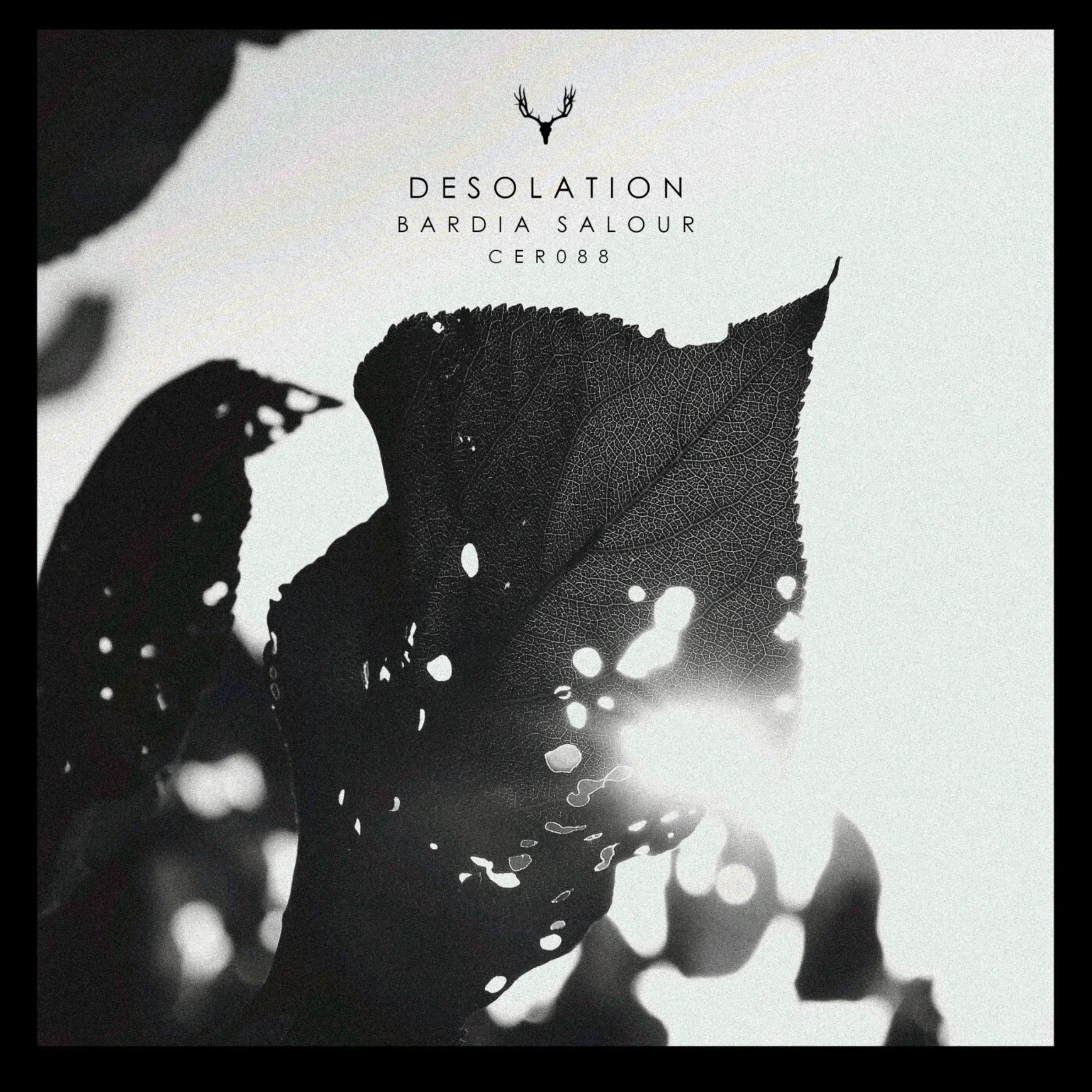 Desolation Cover